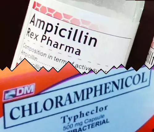 Ampicillin vs Kloramfenikol