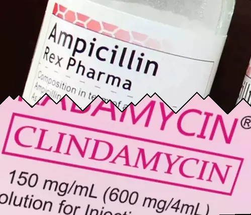 Ampicillin vs Klindamycin