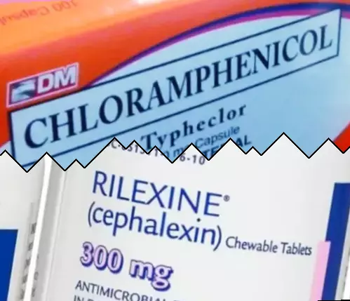 Kloramfenikol vs Cephalexin
