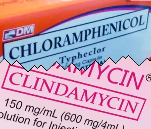 Kloramfenikol vs Klindamycin