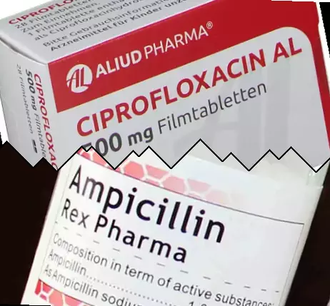 Ciprofloksacin vs Ampicillin